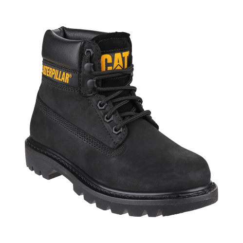 Holton cat best sale